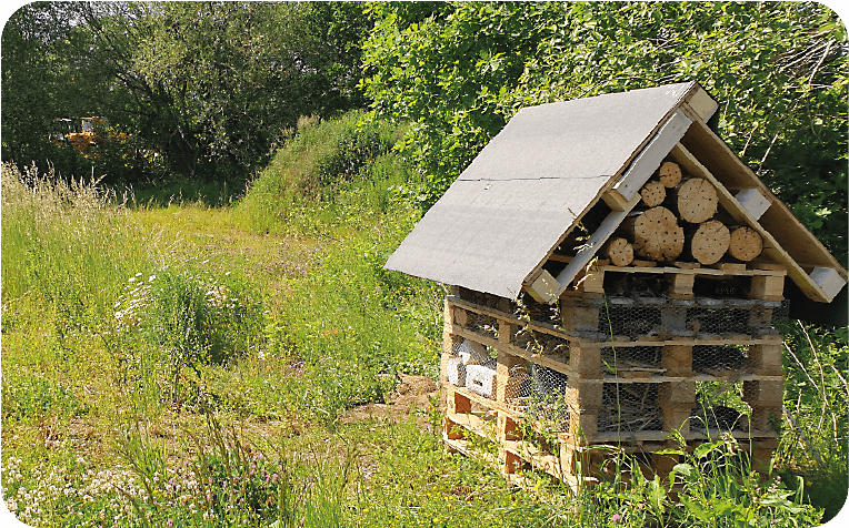 Auf dem Bild erkennt man ein Insektenhotel, gebaut aus Paletten, dass sich auf dem STUCO Gelände befindet.